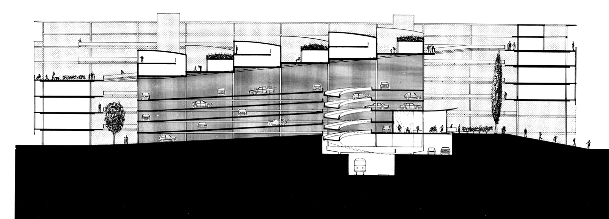 Schematic longitudinal section